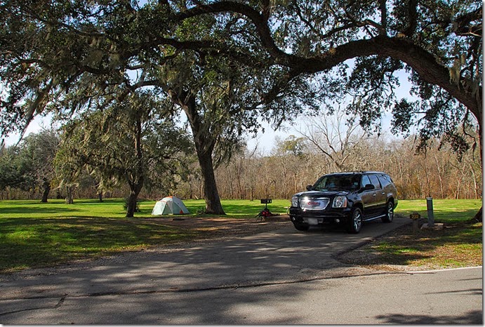 Brazos Bend_232