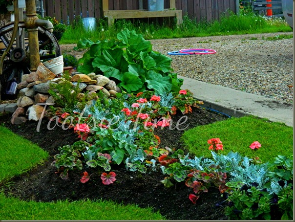 BeFunky_061.jpg BeFunky_061.jpg