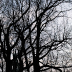 DSC_4876.JPG