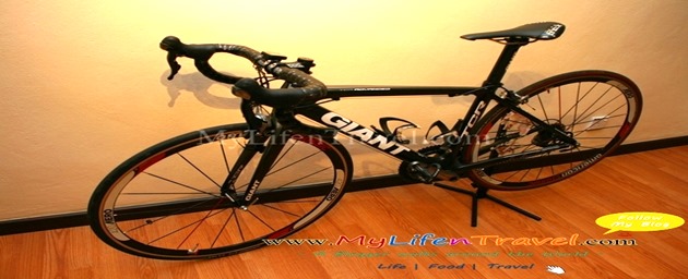 Giant TCR Road Bike 04