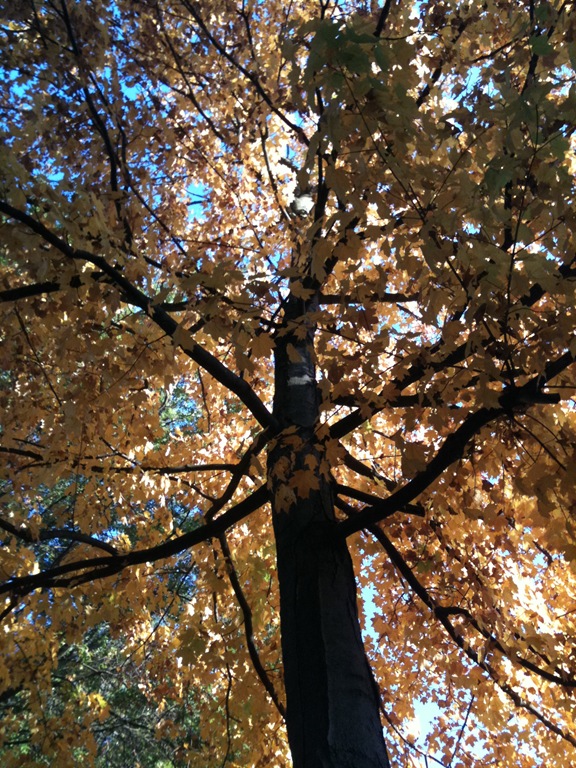 [IMG_2176%255B5%255D.jpg]