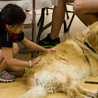 _MG_9395.jpg
