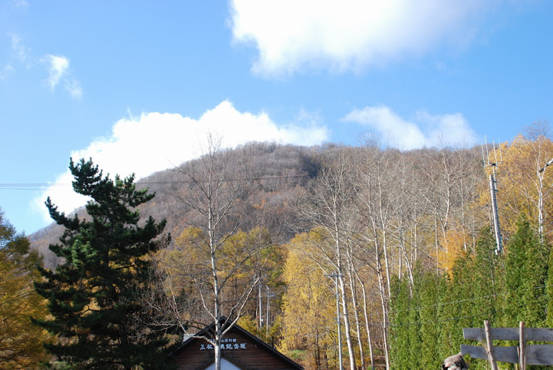hokkaido_287.jpg