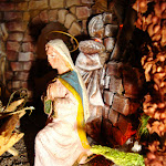 1514-5.JPG