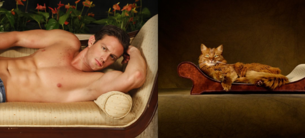 Горячие парни и котята (35 фото) | Картинка №12