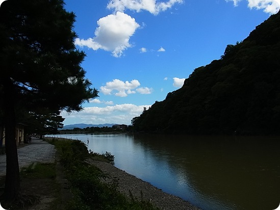 Exif_JPEG_PICTURE