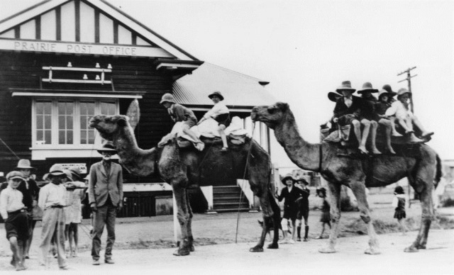[StateLibQld_2_189099_Basha_Gould_and_his_camels_with_children_from_the_Prairie_area%252C_1932%255B4%255D.jpg]