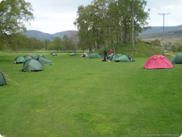 tarfside field 2008 tarfside field 2008