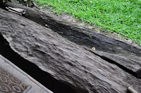 pinoyecofarm penalosa farms_0034.JPG