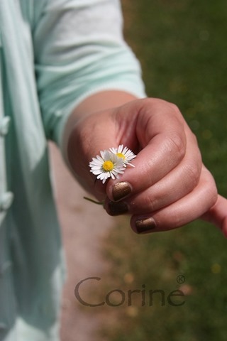 samen samen