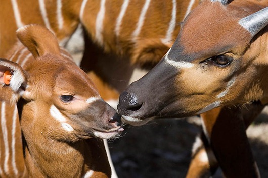 [clip_image020%255B4%255D.jpg]