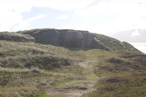 DSC_0474.JPG