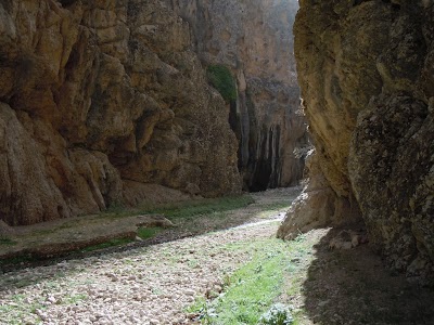 DSCN3925.jpg