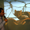 2011ConcFoto06.jpg