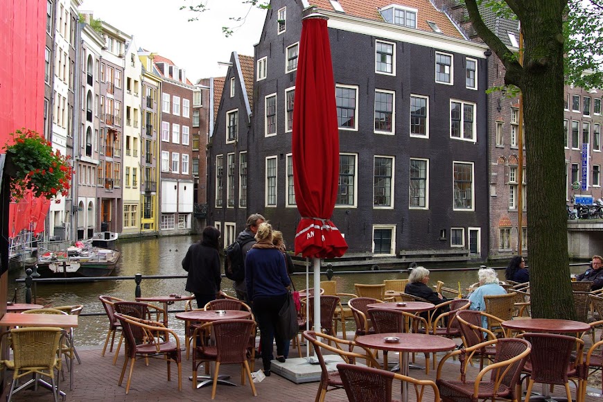 IMGP7296.jpg