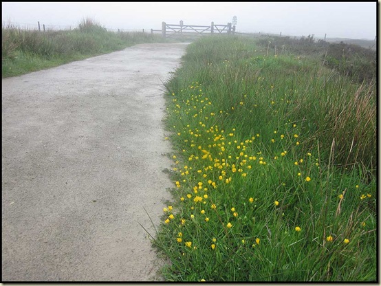 The path towards Bleaklow