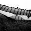 ft-1288.jpg