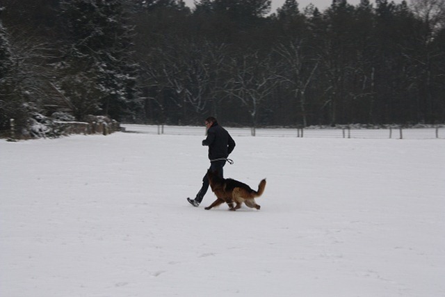 trainen trainen