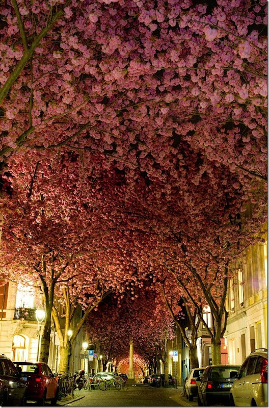 amazing-places-8 amazing-places-8