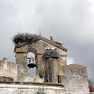Albuera 1811-2011 Christophe Jagusiak-594.jpg
