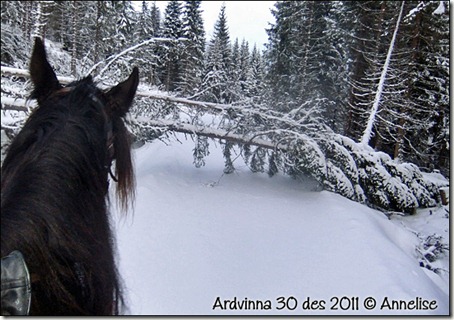 ardvinna-30-12-2011_03