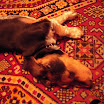 DSCN2474.JPG