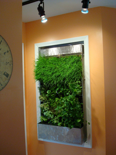 Green Living Technology’s herb wall offers a new twist to the windowsill garden for urban dwellers.