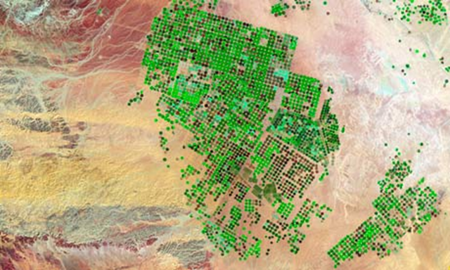 For three decades, Saudi Arabia has been drilling for water from underground aquifers. Engineers and farmers have tapped hidden reserves of water to grow grains, fruit and vegetables in the desert of Wadi As-Sirhan Basin. Landsat / NASA
