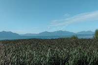 GER0-11_MW_014.JPG