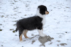 _DSC0003.JPG