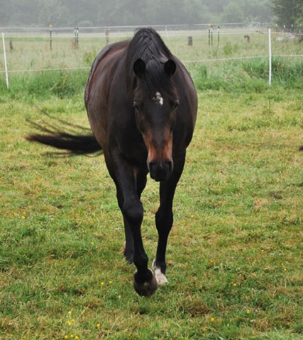 [DSC_0057%255B4%255D.jpg]