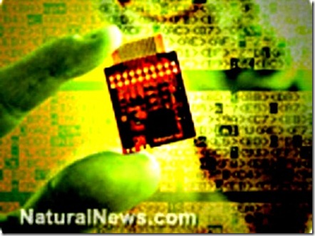 RFID Chip in Food