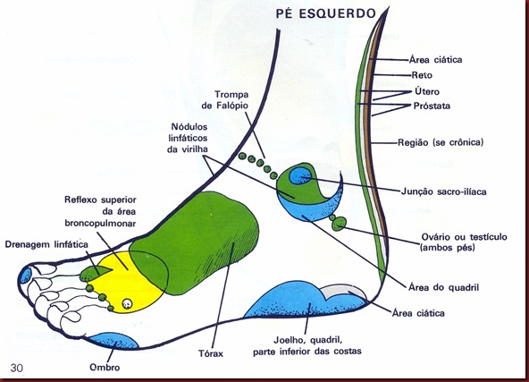Reflexologia Mapa do Pé Esquerdo Lateral Reflexologia Mapa do Pé Esquerdo Lateral