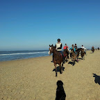 2011-10-16_12.50.07.jpg