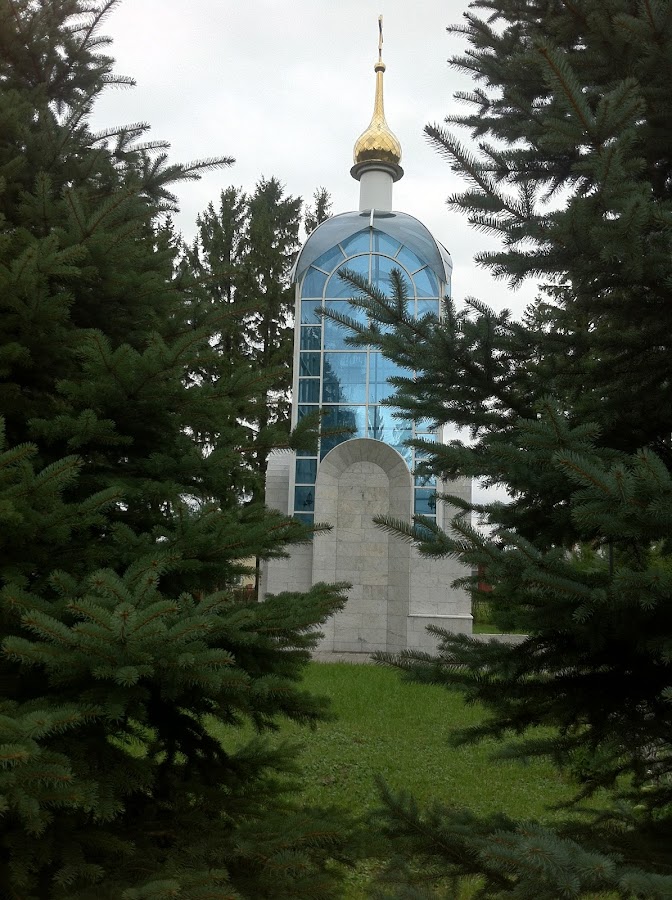 Место захоронения А.Г. Николаева