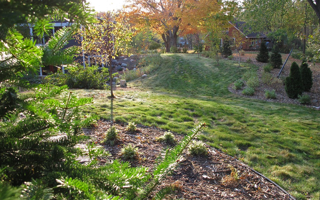 [Autumn%2520Yard%25202%255B3%255D.jpg]