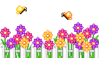 62animation6bh8 62animation6bh8
