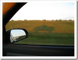 IMG_1062
