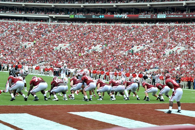 bama_7 bama_7