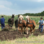 graanoogst-09-044.jpg