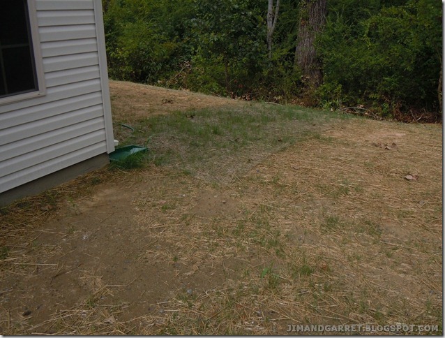 Grass Seed Grass Seed