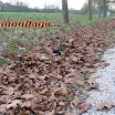 camouflage... Où est Dusty?