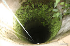 Water well overgrown with ferns