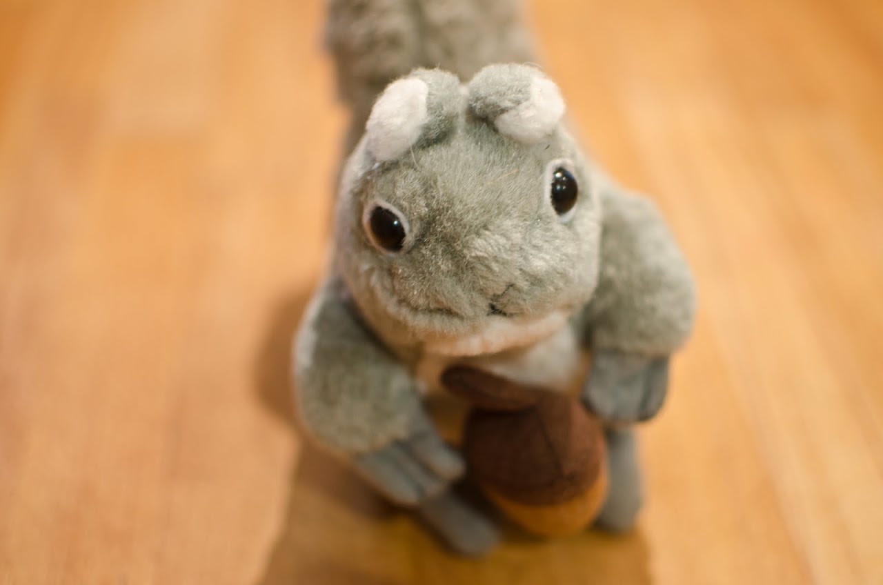 Squirrel toy