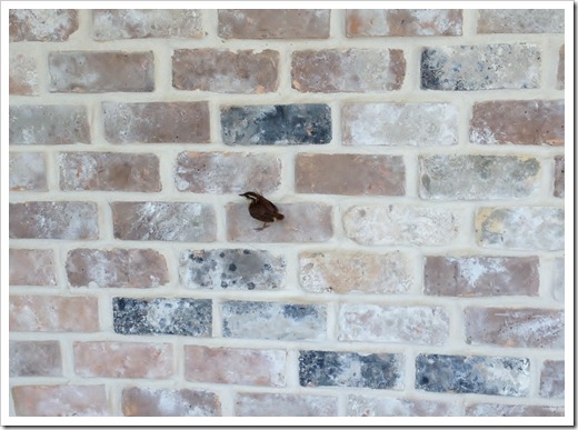 IMG_0040