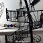 P1160818.JPG