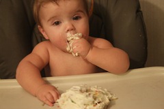 12 months 009