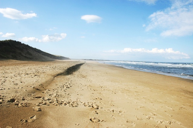 [IMG_8327%255B15%255D.jpg]