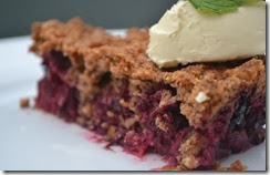 paleo dessert recipes