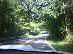IMG00325-20090810-1050.jpg